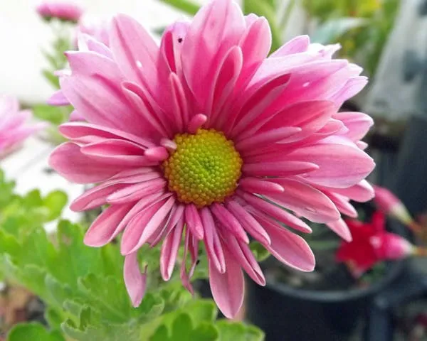 Bathroom plumbing installation